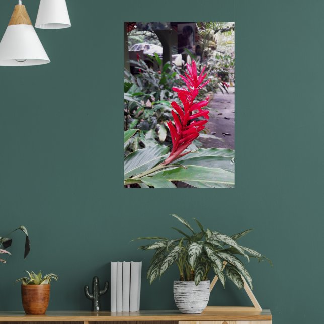 Poster Alpínia purpurata 4 (Sala de Estar 1)