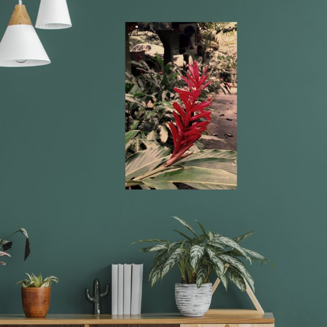 Poster Alpínia purpurata 5 (Sala de Estar 1)
