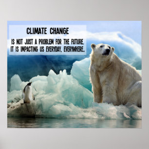 Poster Alterações climáticas com pinguim e urso polar