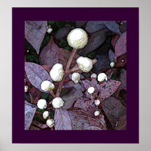 Pôster Alteranatha Universe