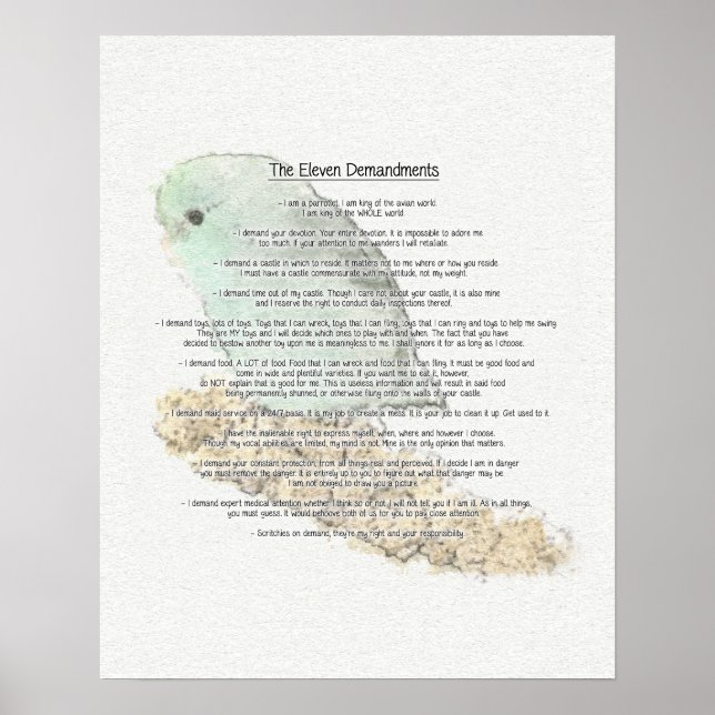 Poster Altos Demandamentos dos Parrotlets (Frente)