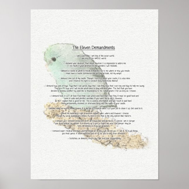 Poster Altos Demandamentos dos Parrotlets (Frente)