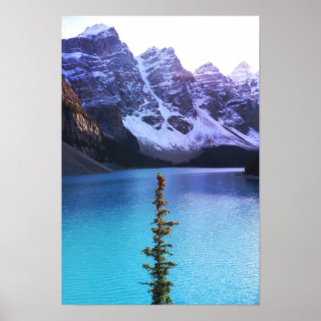 Poster Altura em Pé (Frente)