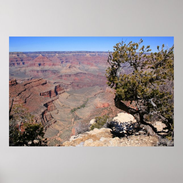 Pôster Alturas em expansão (Frente)