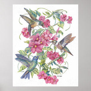 POSTER ALUGUER AVES COM FLORES DE PINCO