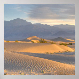 Poster Alvorecer do deserto