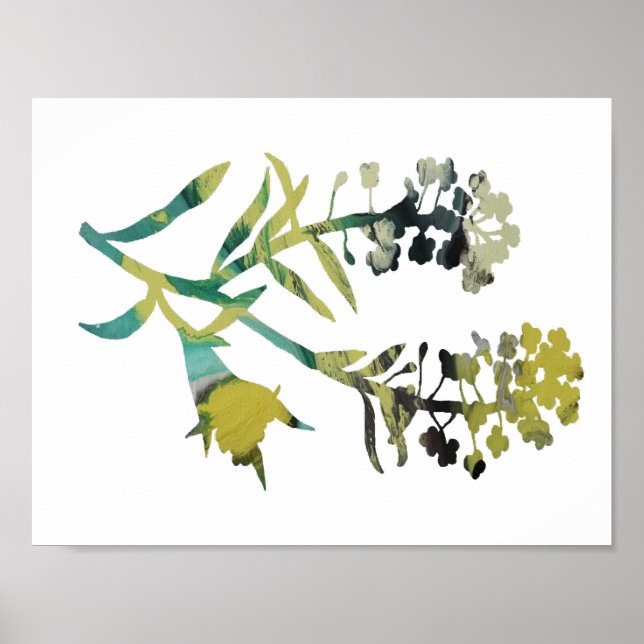 Pôster Alyssum (Frente)