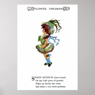 Poster Alyssum doce