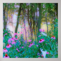 Amanhecer Brilhante com Coneflowers Rosa no Meu Ja