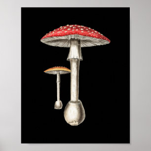 Poster Amanita Muscaria Mushroom Botânica Fungi