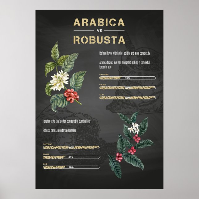 Poster Amante de Café Café Arábica Robusta (Frente)