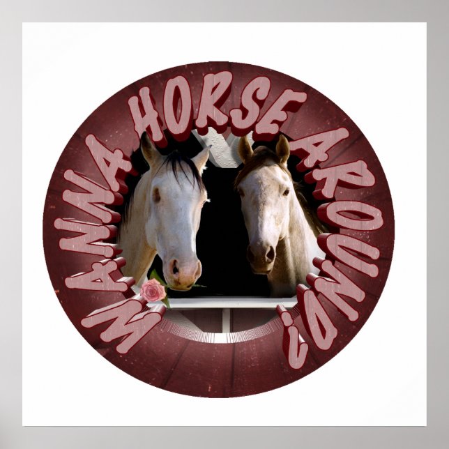 Pôster Amantes de Cavalo (Frente)