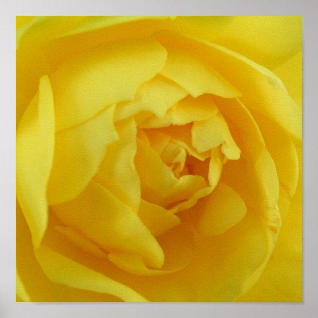 Poster amarelo (Frente)