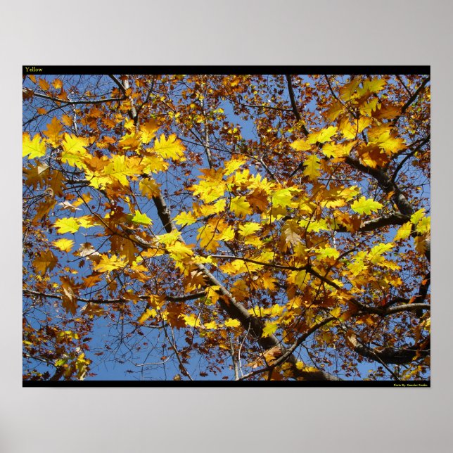 Pôster Amarelo (Frente)