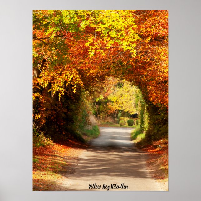 Poster Amarelo Bog Kilcullen (Frente)