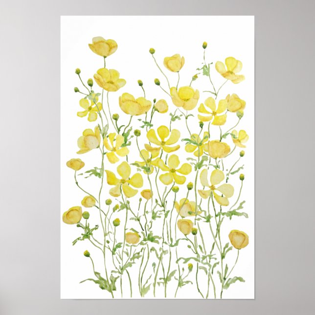Poster amarelo borboleta flores campo aquarela (Frente)