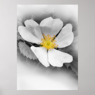 Pôster amarelo em máscaras das cinzas