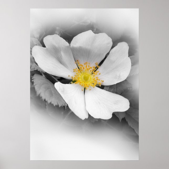 Pôster amarelo em tons de cinza (Frente)