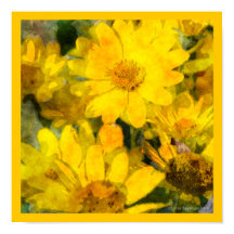 Amarelo Flores de Margarida Aparência