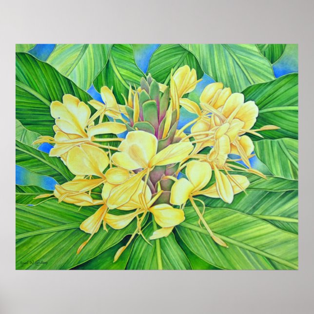 Poster Amarelo Ginger Watercolor (Frente)