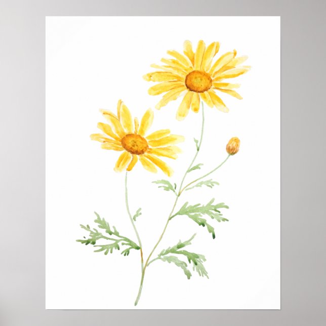Poster Amarelo Margaret daisy watercolor (Frente)