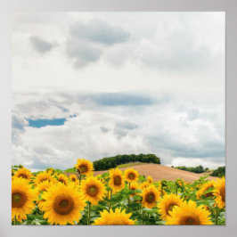Poster Amarelo Sunflower Rustic