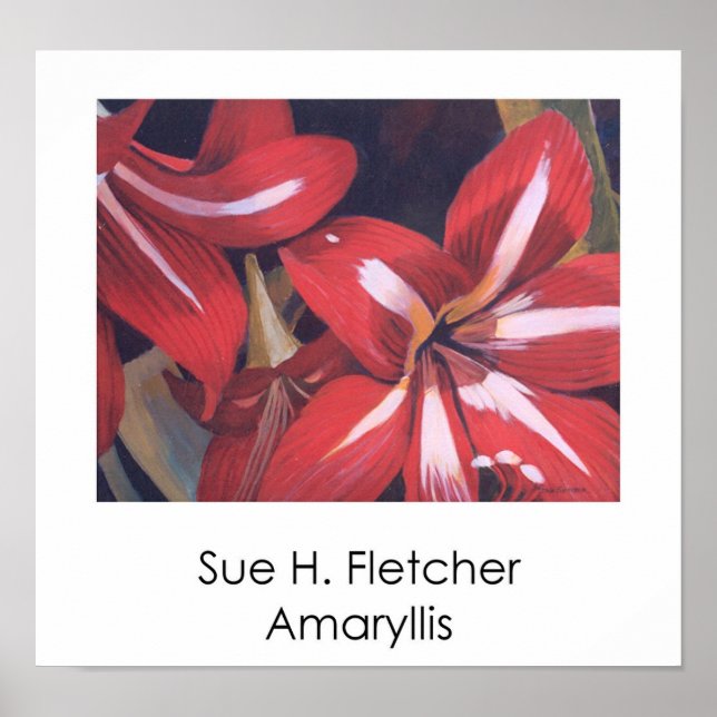 Pôster Amaryllis (Frente)