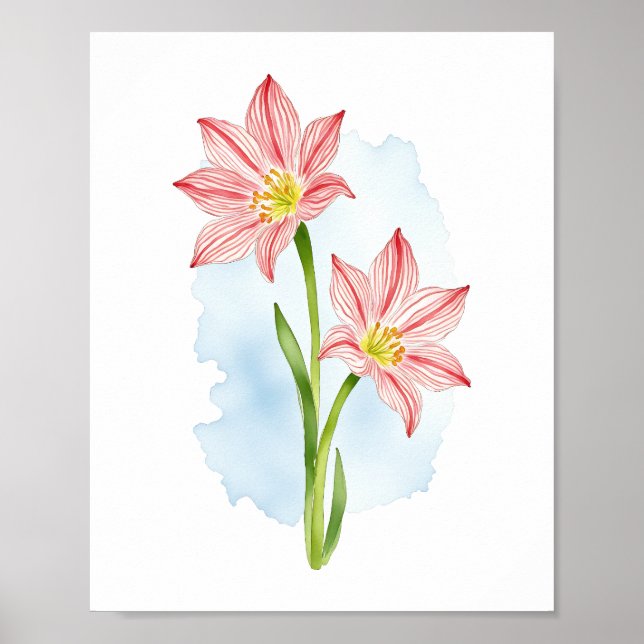 Poster Amaryllis Flower Watercolor (Frente)