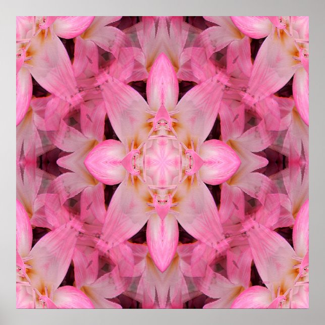 Poster Amaryllis Love... (Frente)