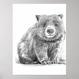 Poster Amazing realistic wombat in pencil drawing style