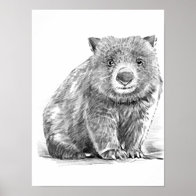 Poster Amazing realistic wombat in pencil drawing style (Frente)