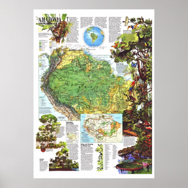 Poster "Amazônia: 1992 Um MAPA Mundial De Recursos Em Ris (Frente)