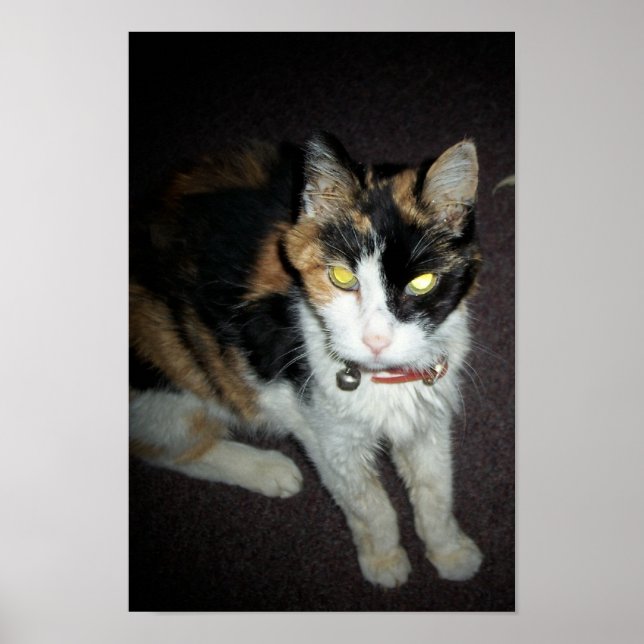 Poster âmbar (Frente)