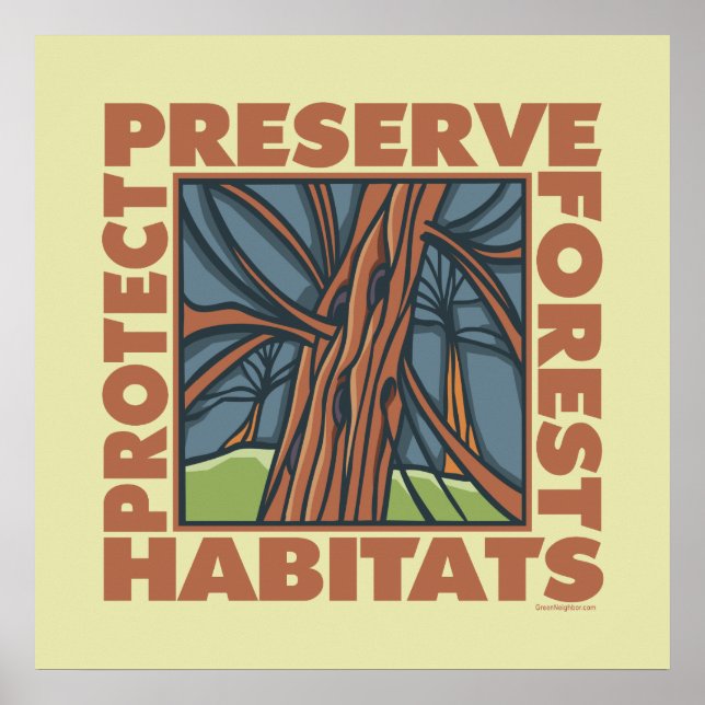 Poster Ambiente, habitats naturais (Frente)