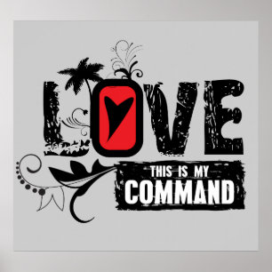 Pôster Ame isto é meu comando (o 15:12 de John)