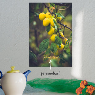 Poster Ameixas amarelas após chuva