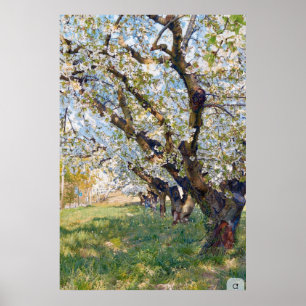 Poster Ameixas de árvores de damasco de Van Gogh