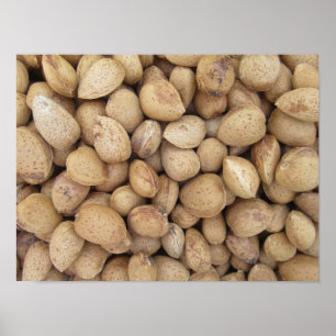 Poster Amêndoas Querem Padrões de outono