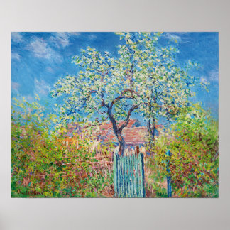 Poster Amendoeira em flor, Monet