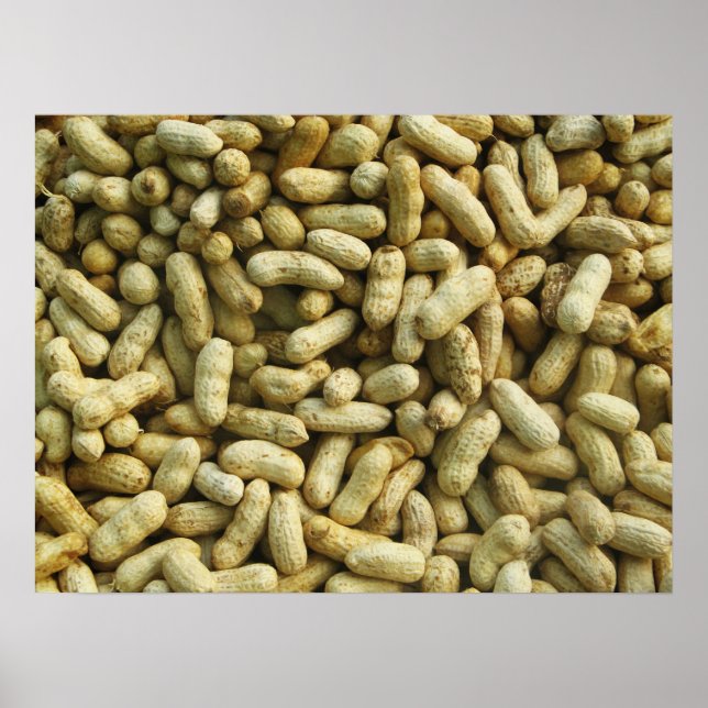 Poster Amendoins (Frente)