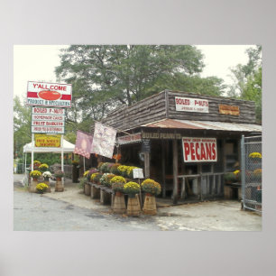 Pôster Amendoins fervidos VOCÊ VEM