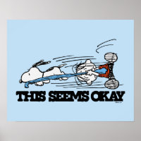 Amendoins | Snoopy & Linus