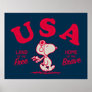 Poster Amendoins   Snoopy USA Land of the Free