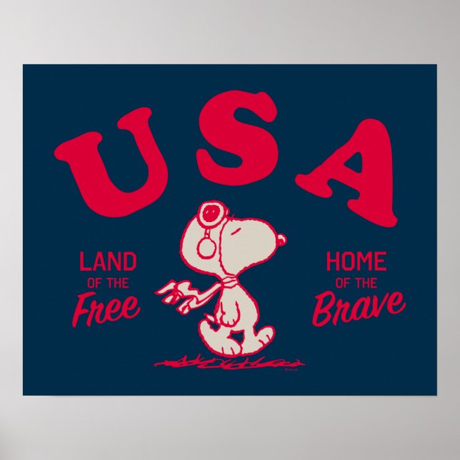 Poster Amendoins | Snoopy USA Land of the Free (Frente)