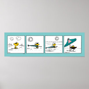 Poster Amendoins Woodstock na praia