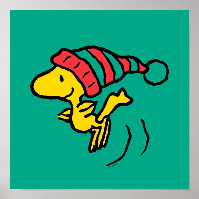 Poster Amendoins | Woodstock Winter Beanie Boné (Frente)