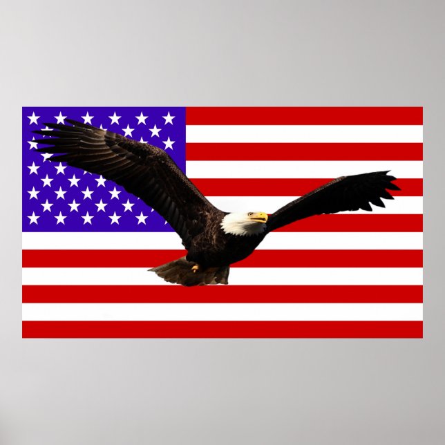 Poster América - bandeira Bald Eagle EUA (Frente)