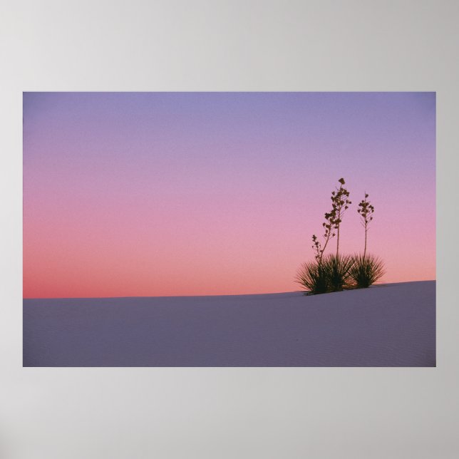 Pôster América do Norte, América, Novo México, Branco (Frente)