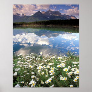 Poster América do Norte, Canadá, Alberta, Banff Nationa