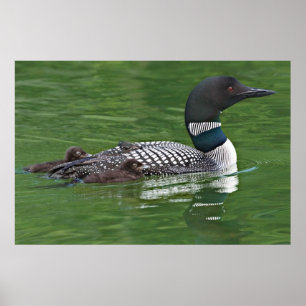 Poster América do Norte, Canadá, Colúmbia Britânica, Lac 